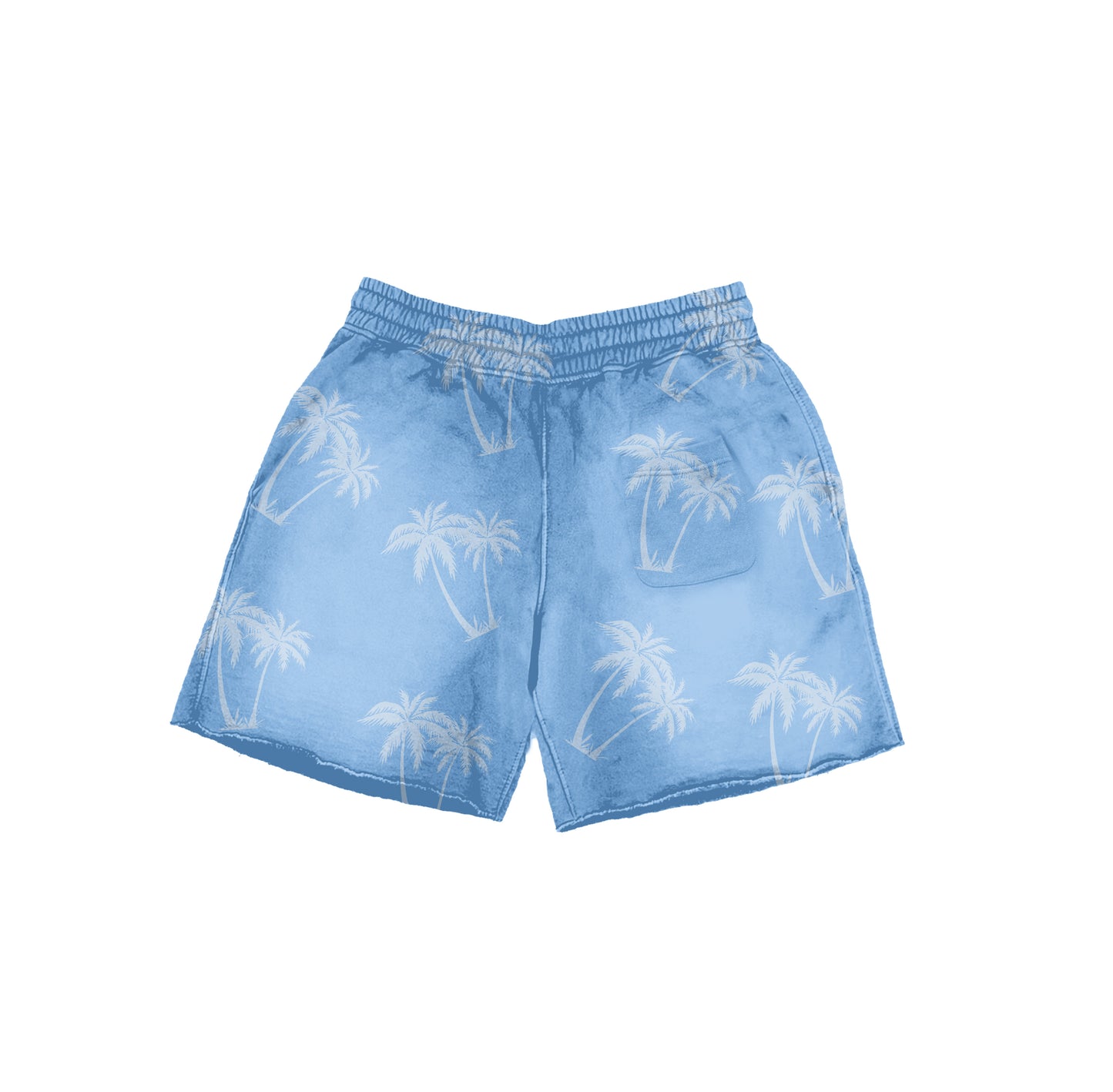 Baby Blue Shorts